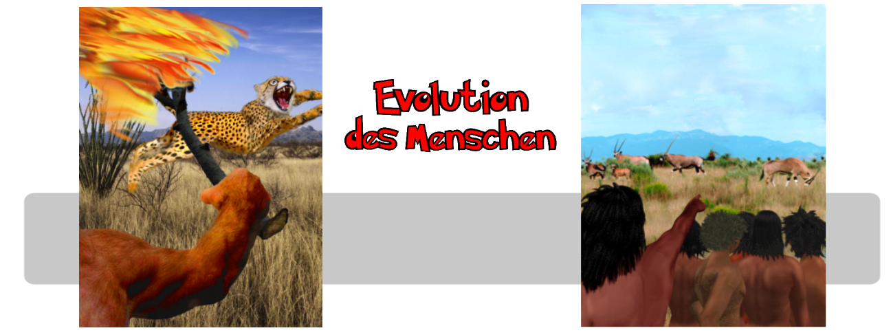 Evolution des Menschen